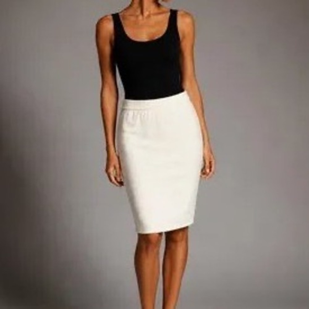 New St. John Skirt